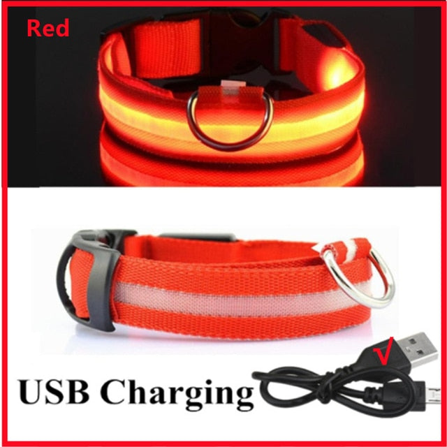 Collar para perro ajustable con luz LED