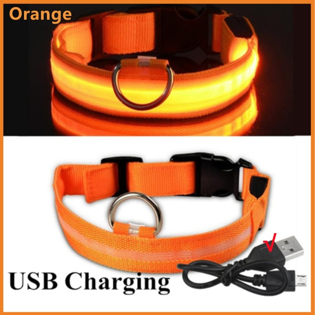 Collar para perro ajustable con luz LED