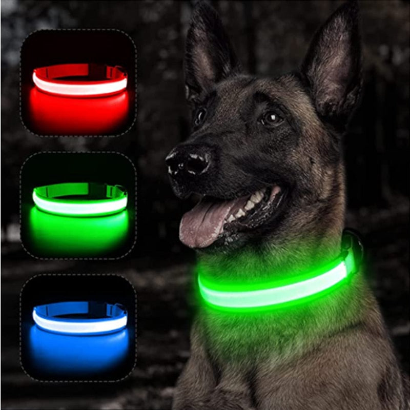 Collar para perro ajustable con luz LED