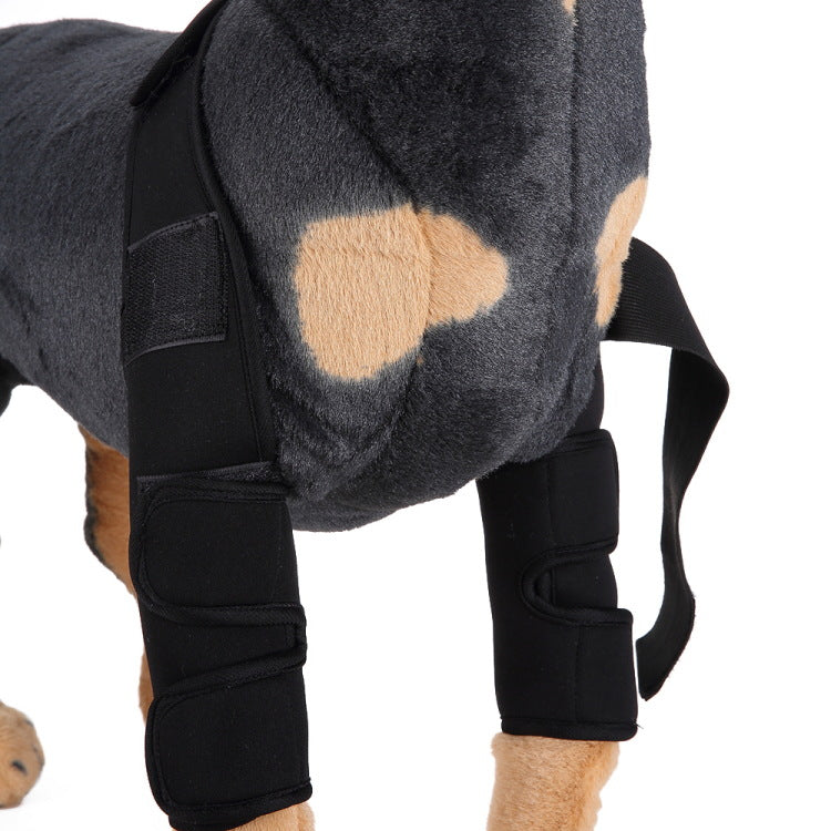 Rodillera y protector de pata para perros para la recuperación de lesiones